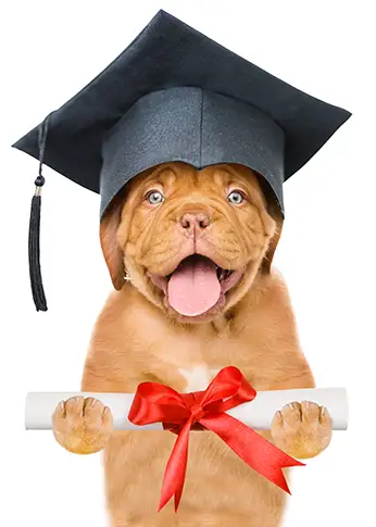 Puppy krijgt diploma